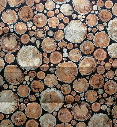 Tischset 35x50 cm Holz